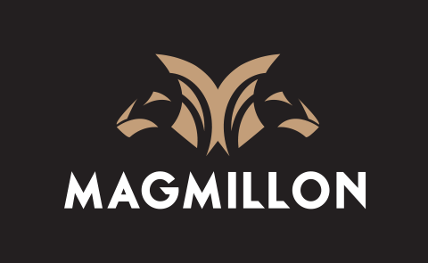 Magmillion – nowy wymiar inwestycji